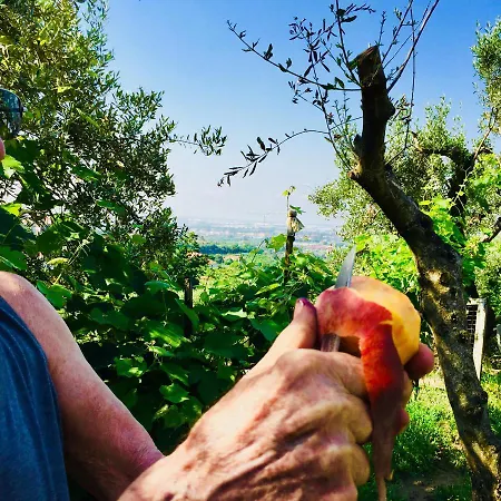 Montebianco * Faiano