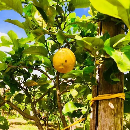 فندق مبيت وإفطار Montebianco *