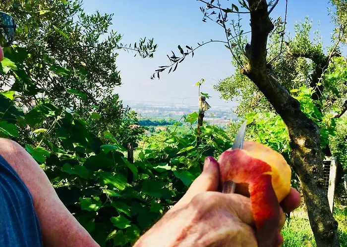 Montebianco * Faiano