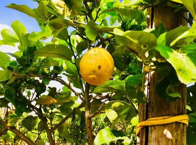 Alojamento de Acomodação e Pequeno-almoço Montebianco *
